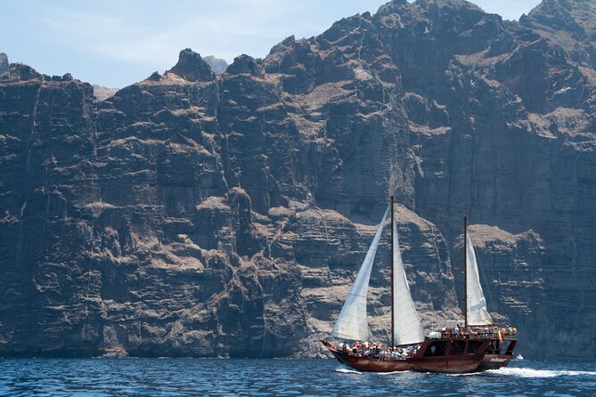 Tenerife : Whales and Dolphins with Food and Bath in Los Gigantes - Who will enjoy this boat trip most