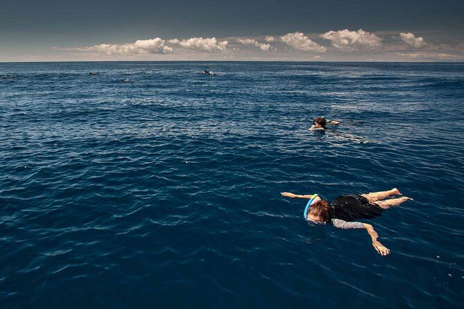 Terceira Island: Swimming with Wild Dolphins | Natural Habitat - The safety briefing and getting ready