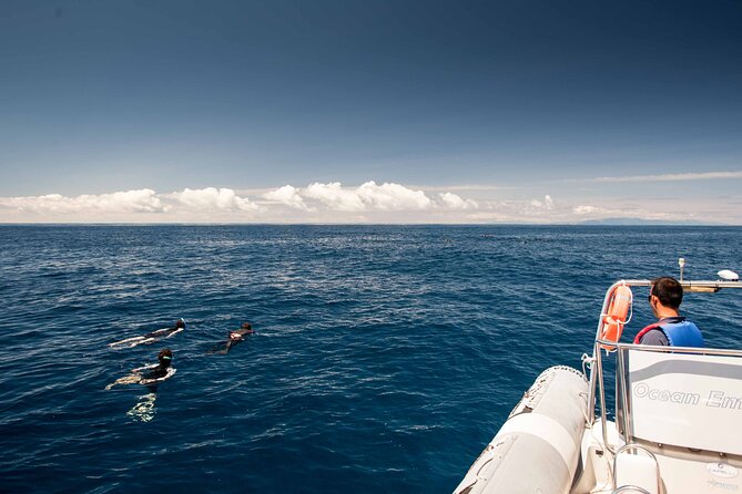 Terceira Island: Swimming with Wild Dolphins | Natural Habitat - A respectful way to meet wildlife