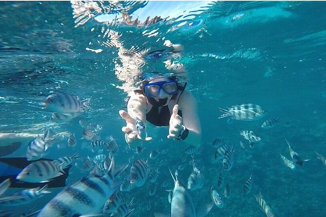 The Dolphin House Royal Sea Trip Adventure in Hurghada - Who will enjoy this Red Sea outing