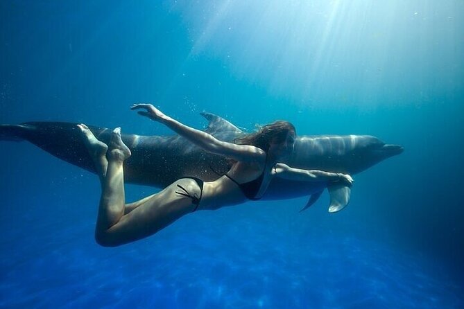 The only Natural Space Dolphin Encounter in Cabo Optional Pickup! - Key points before you book