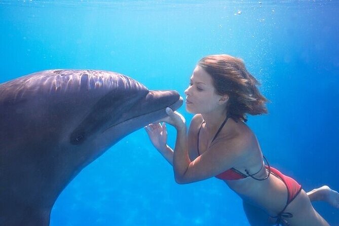 The only Natural Space Dolphin Encounter in Cabo Optional Pickup! - What the one-hour session is like