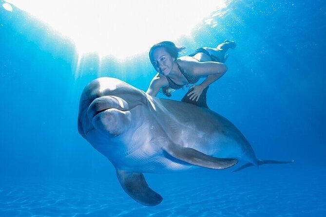 The only Natural Space Dolphin Encounter in Cabo Optional Pickup! - The Cabo sights connected with the experience