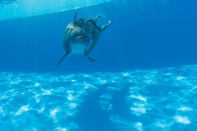 The only Natural Space Dolphin Encounter in Cabo Optional Pickup! - The guides make the biggest difference