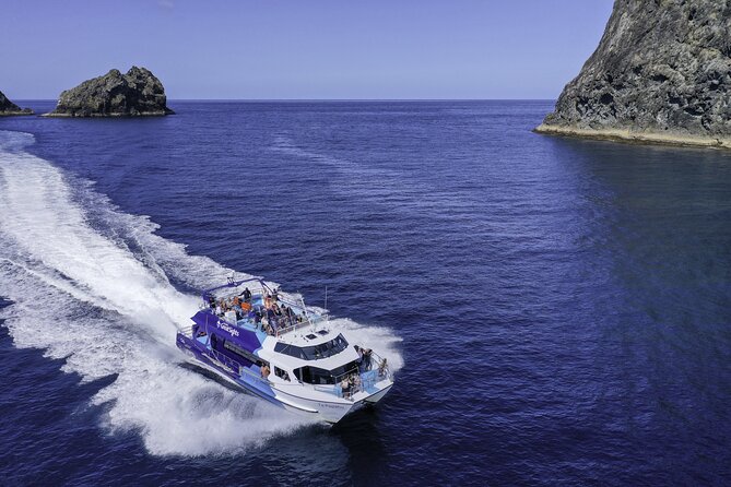 The Original Full day Bay of Islands Cruise with Dolphins - Key points to know before you book