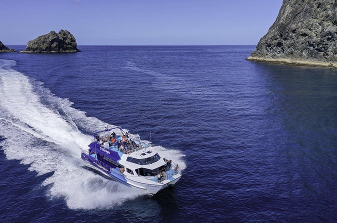 The Original Full day Bay of Islands Cruise with Dolphins - Should you book the Original Full Day Bay of Islands Cruise?
