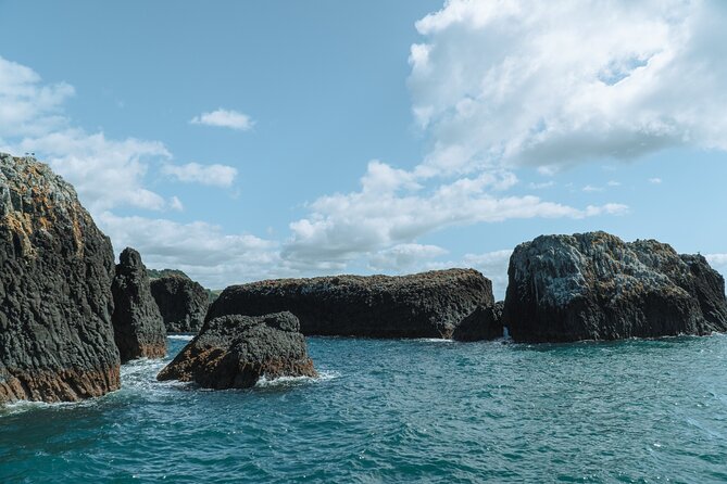 The Original Full day Bay of Islands Cruise with Dolphins - Otehei Bay gives the day room to breathe
