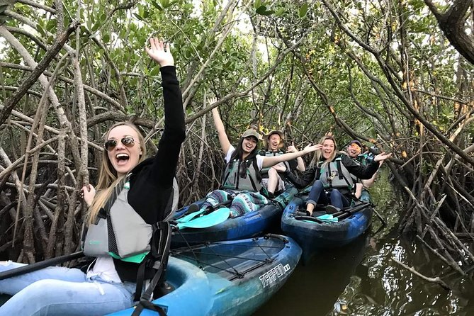 Thousand Island Mangrove Tunnel, Manatee & Dolphin Kayak Tour w/Cocoa Kayaking - Key points to know before you paddle