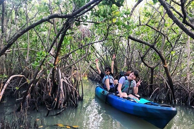 Thousand Island Mangrove Tunnel, Manatee & Dolphin Kayak Tour w/Cocoa Kayaking - How good are the guides?