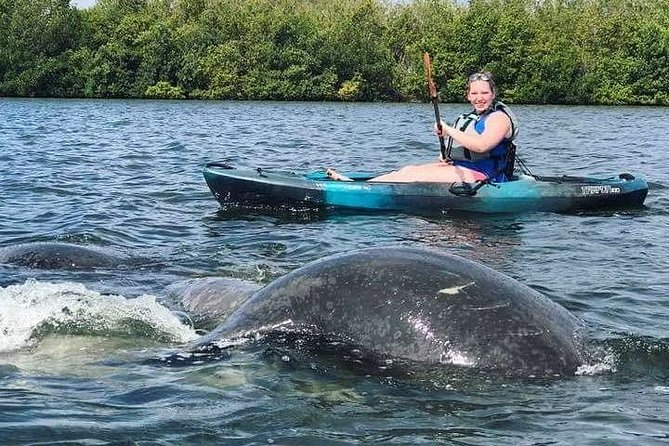 Thousand Island Mangrove Tunnel, Manatee & Dolphin Kayak Tour w/Cocoa Kayaking - Small groups make a real difference