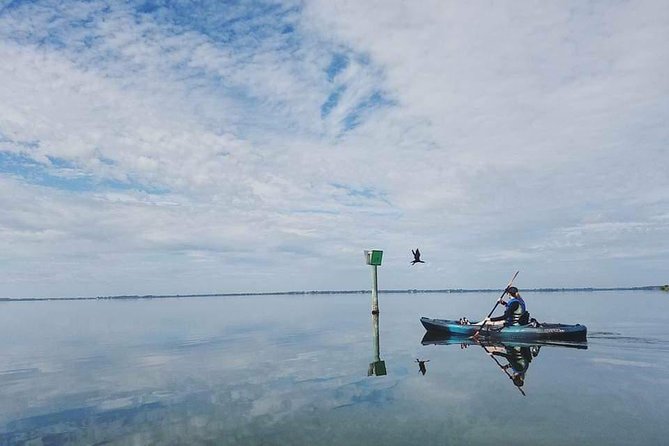 Thousand Island Mangrove Tunnel, Manatee & Dolphin Kayak Tour w/Cocoa Kayaking - Kayaks, safety gear, and what to pack