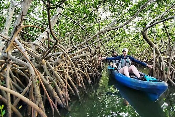 Thousand Island Mangrove Tunnel, Manatee & Dolphin Kayak Tour w/Cocoa Kayaking - Is $69.08 a good value?