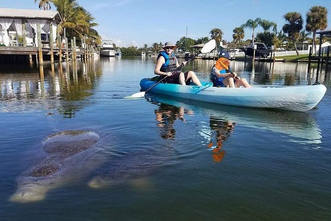 Thousand Island Mangrove Tunnel, Manatee & Dolphin Kayak Tour w/Cocoa Kayaking - The best time to book