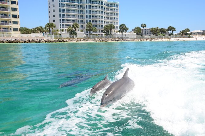 Thriller Sunset Dolphin Cruise in Destin Harbor - Sunset Views and Dolphin Watching