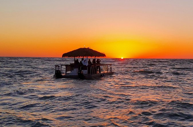 Tiki Time! A Public Cruise to Sandbars, See Dolphins or Sunset. - What to expect from the dolphin option