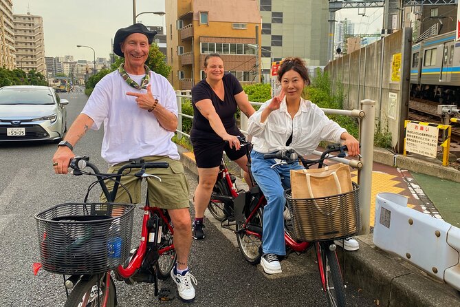 Tokyo Night E-Bike Tour with Tokyo Tower and Dolphin Show - An evening route with three very different Tokyo moments