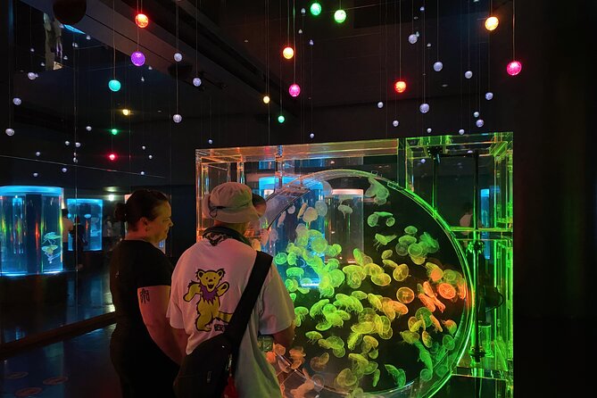 Tokyo Night E-Bike Tour with Tokyo Tower and Dolphin Show - Maxell Aqua Park Shinagawa and the opening dolphin show