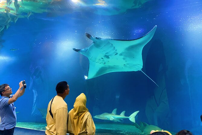 Tokyo Night E-Bike Tour with Tokyo Tower and Dolphin Show - Tokyo Tower and the Top Deck finale