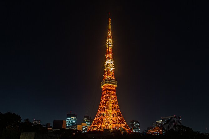 Tokyo Night E-Bike Tour with Tokyo Tower and Dolphin Show - What the $104.51 price includes