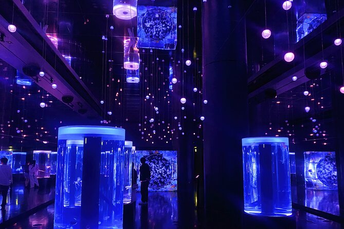 Tokyo Night E-Bike Tour with Tokyo Tower and Dolphin Show - Practical details before you book