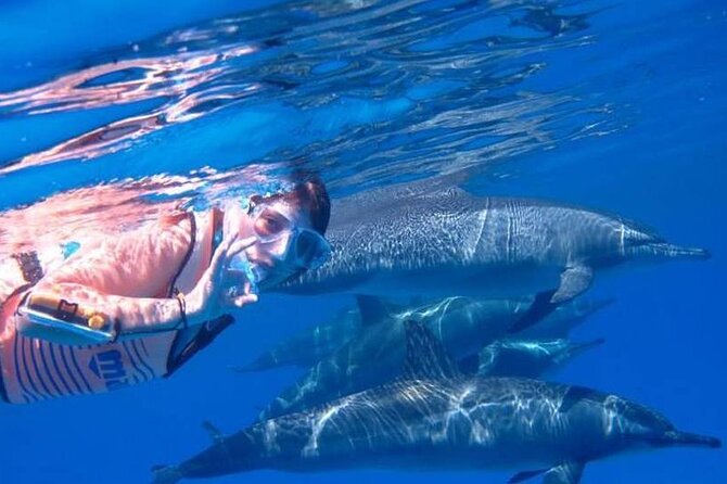 Tour and Swimming at the Dolphin House in Hurghada - Two 45-minute snorkeling stops