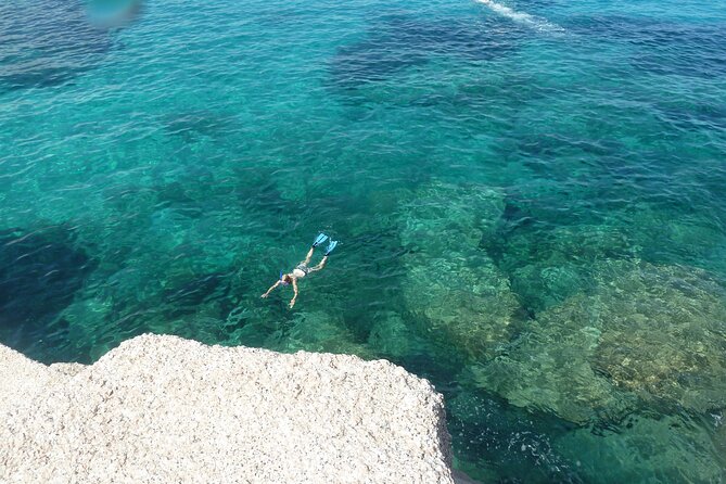 Tour to Figarolo Island with the possibility to observe dolphins - Leaving Olbia for Figarolo Island