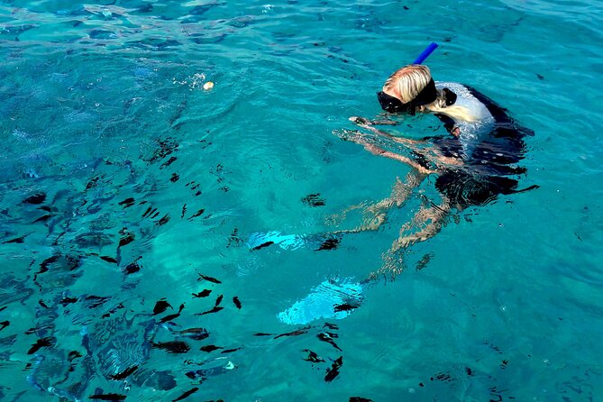 Tour to Figarolo Island with the possibility to observe dolphins - Capo Figari, Cala Moresca, and the coastal views