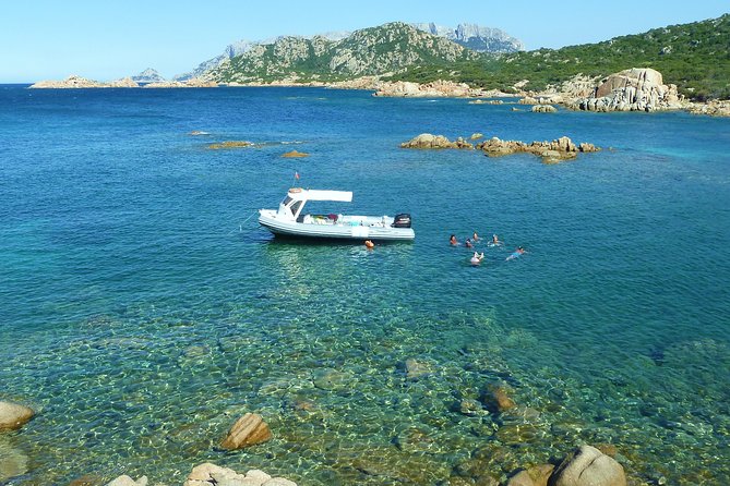 Tour to Figarolo Island with the possibility to observe dolphins - Snacks, drinks, and the easygoing pace