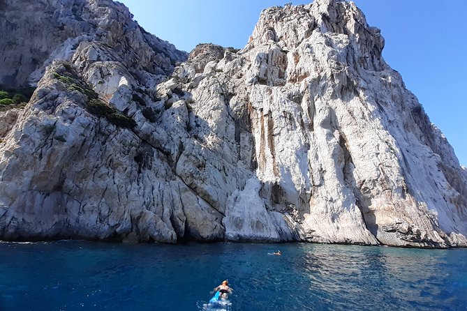 Tour to Figarolo Island with the possibility to observe dolphins - How much value do you get for $72.59?