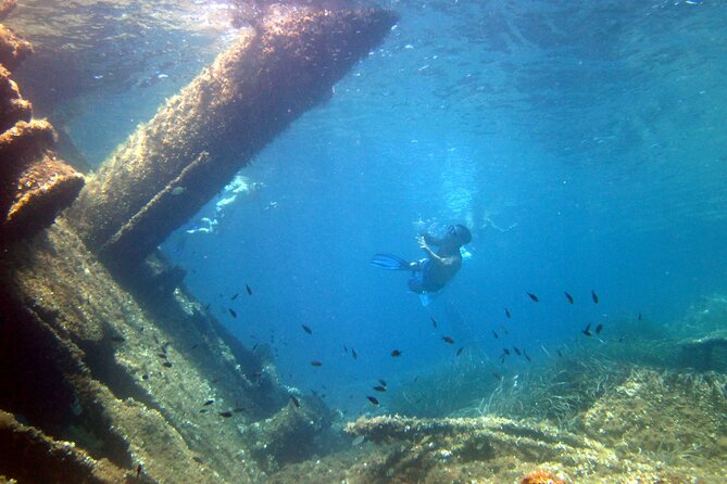 Tour to Figarolo Island with the possibility to observe dolphins - Figarolo’s clear water and free snorkeling gear