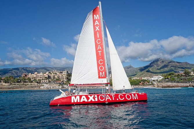 Tour with Whale and Dolphin Watching plus food included - Key points to know before booking