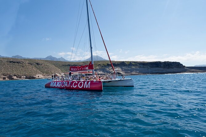 Tour with Whale and Dolphin Watching plus food included - Looking for whales and dolphins off Tenerife