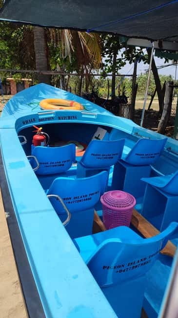 Trincomalee: Dolphin & Whale Watching Boat Tour - Key points to know before booking