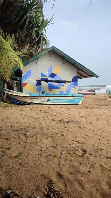 Trincomalee: Dolphin & Whale Watching Boat Tour - Dolphin watching around Nilaveli