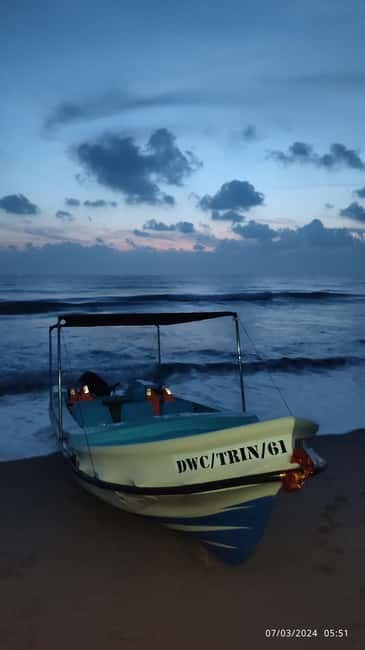Trincomalee: Dolphin & Whale Watching Boat Tour - Looking for blue and sperm whales
