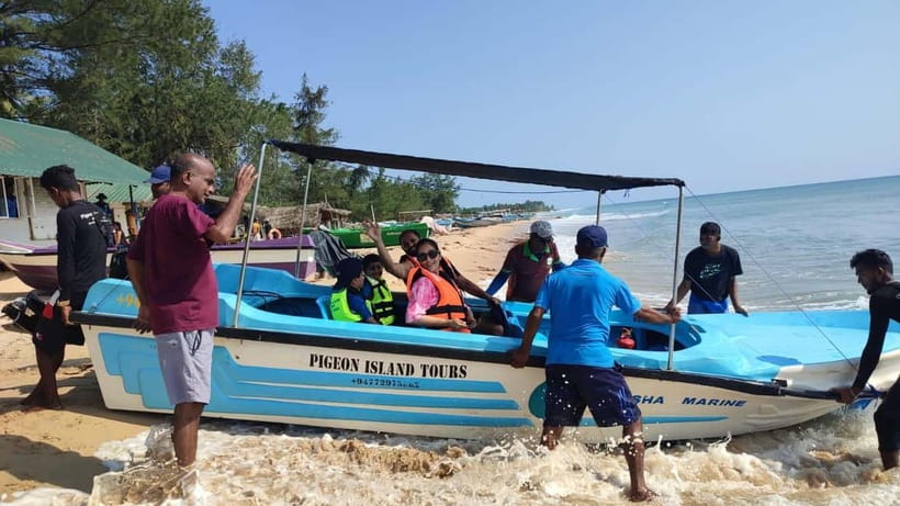 Trincomalee: Dolphin & Whale Watching Boat Tour - What $40 buys you