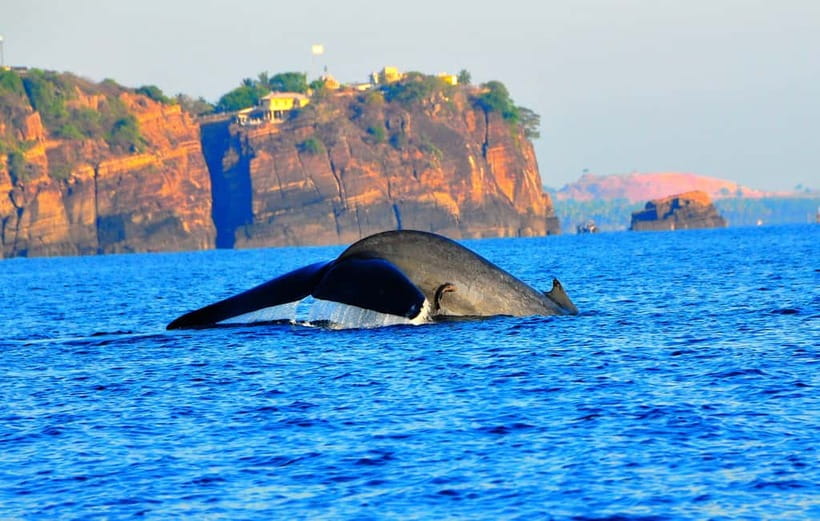 Trincomalee: Dolphin & Whale Watching Boat Tour - The ride toward the dolphin grounds
