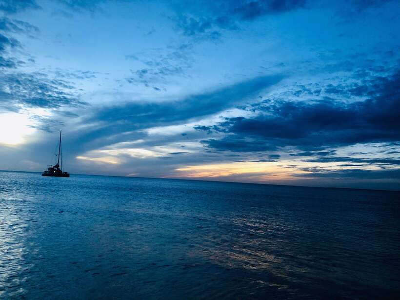 Trincomalee : Whale & dolphin watching +pigeon island tour - Comfort, safety, and who should skip it