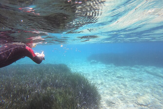 Try Snorkeling in the Sea with the Blue Dolphin Team - Learning to Snorkel in Elounda, Step by Step