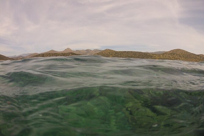 Try Snorkeling in the Sea with the Blue Dolphin Team - What Happens Before You Enter Deeper Water