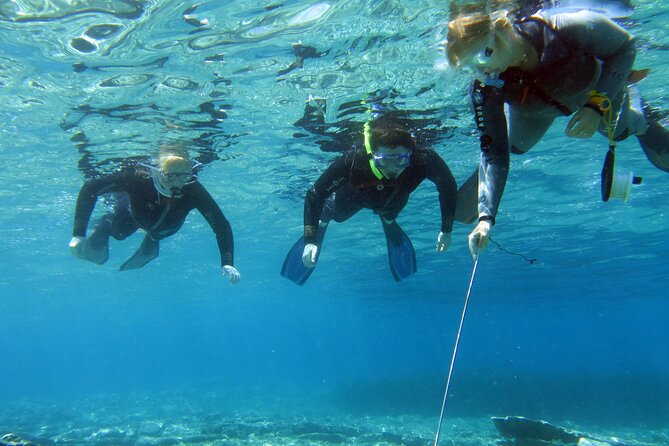 Try Snorkeling in the Sea with the Blue Dolphin Team - Why the Small Group of Six Matters