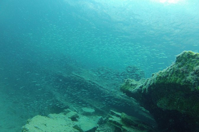 Try Snorkeling in the Sea with the Blue Dolphin Team - The Optional Boat Trip Afterward
