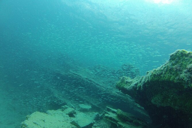 Try Snorkeling in the Sea with the Blue Dolphin Team - About 60 Minutes Looking Beneath Elounda’s Water