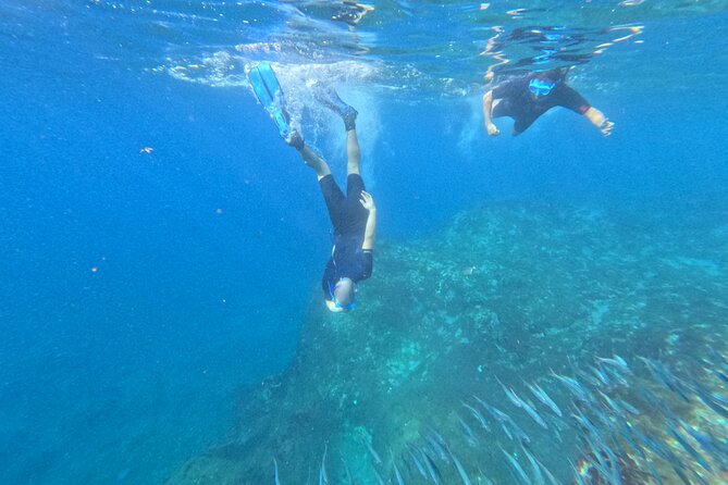 Turtle and Dolphin Watching Kayaking and Snorkeling Tour - Snorkeling in clear Atlantic water