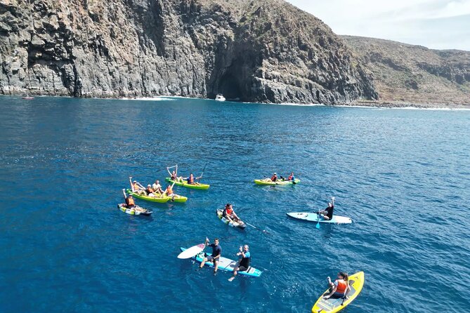Turtle and Dolphin Watching Kayaking and Snorkeling Tour - Visiting Palm Mar’s Cave of the Lovers