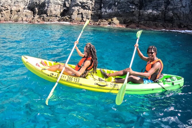 Turtle and Dolphin Watching Kayaking and Snorkeling Tour - Is $42.14 a fair price?