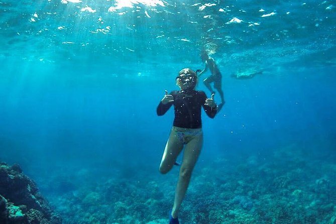 Ultimate 4 Hour Lanai Snorkel and Dolphin Encounter - Second stop: turtles, sharks, and the Mala Wharf reef