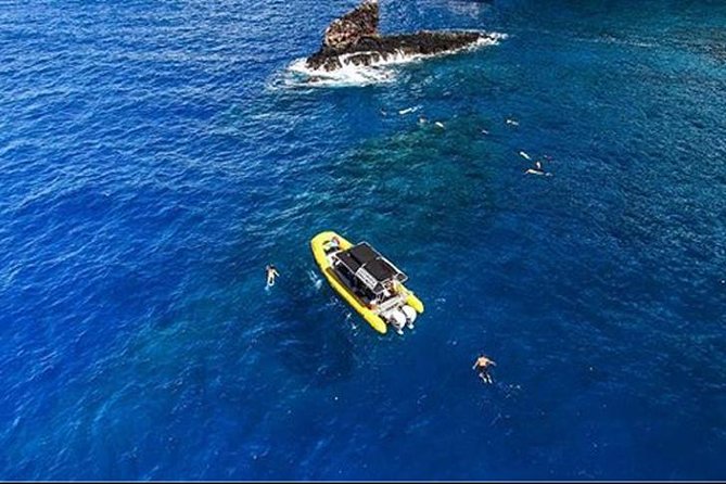 Ultimate 4 Hour Lanai Snorkel and Dolphin Encounter - Snacks, drinks, and gear included