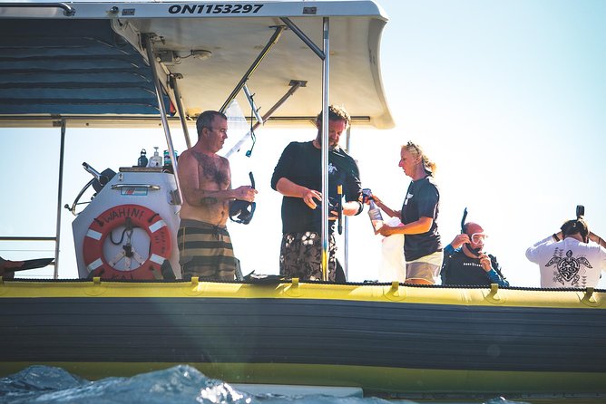 Ultimate 4 Hour Lanai Snorkel and Dolphin Encounter - What to expect from the ocean conditions