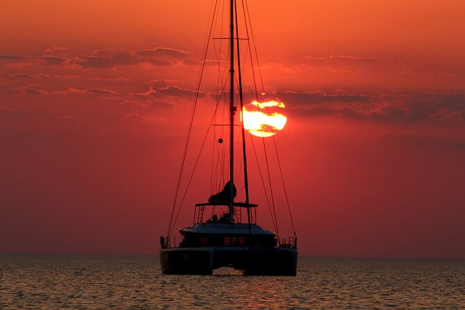 Ultimate Key West Day: Dolphin & Snorkel Combo with Sunset Sail - Should You Book This Key West Combo?